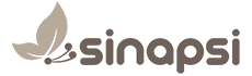 Sinapsi - Web Based Software