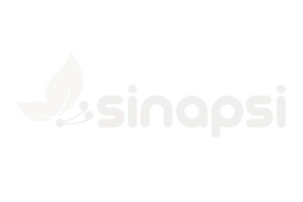 In via di rilascio la versione 2.1 di Sinapsi con nuove funzionalità